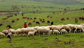 中央財(cái)政畜牧業(yè)提升項(xiàng)目檢查組高度評(píng)價(jià)寧波科瑞特畜牧養(yǎng)殖場(chǎng)項(xiàng)目