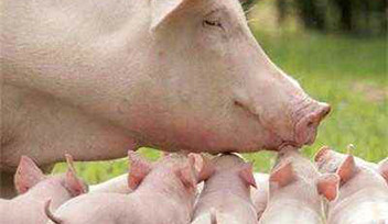 【重要提示】天涼好個秋，當心“附”和“弓”